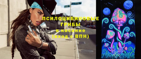 твердый Магас