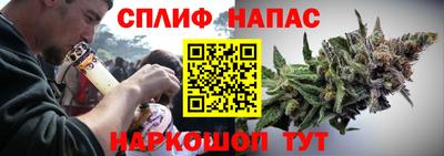 прущие грибы Апшеронск
