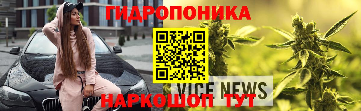 Бошки марихуана Ganja Красногорск