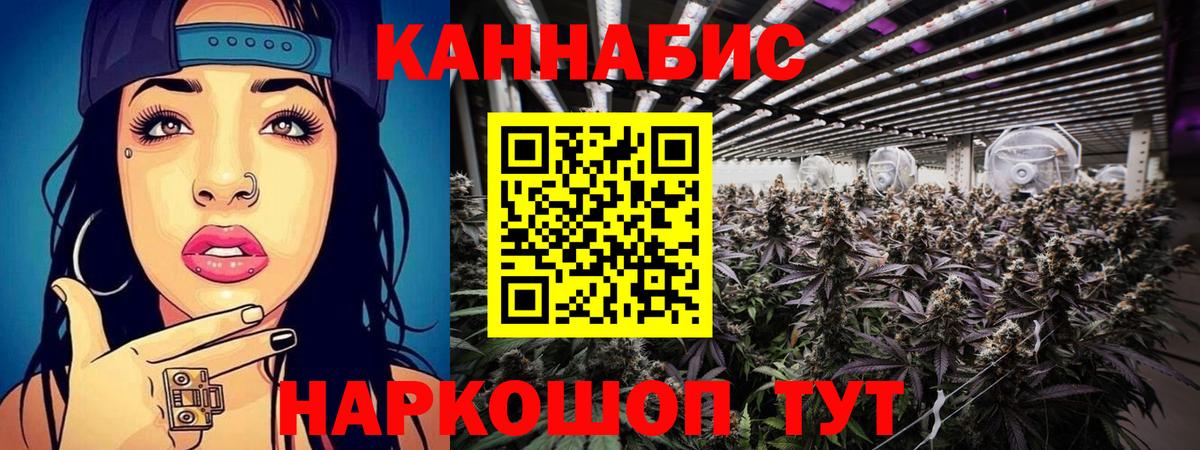 Бошки Шишки ГИДРОПОН  Бошки Шишки сатива  Красногорск  Вход с VPN  Канабис SATIVA & INDICA 